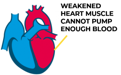 Graphic of a heart with text